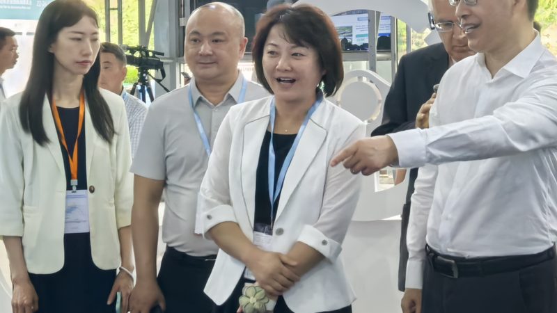 成都电机轴承选型：精准匹配，保障动力输出